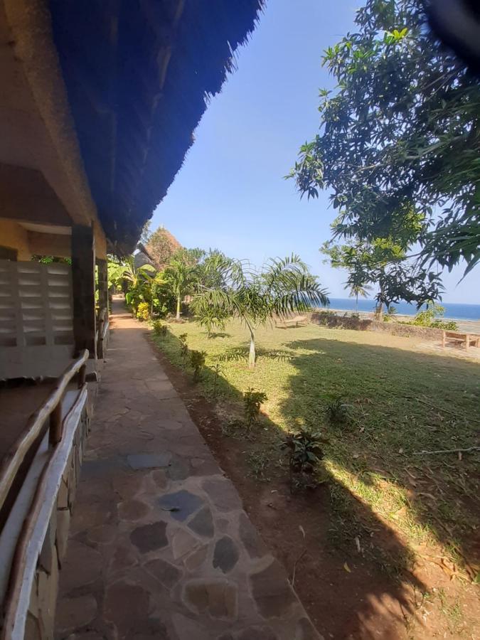 Mango Lodge Msambweni Kisimachande Exterior foto
