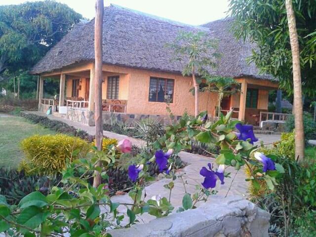 Mango Lodge Msambweni Kisimachande Exterior foto